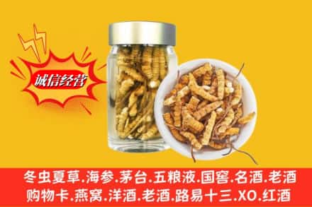 阜新市回收散虫草
