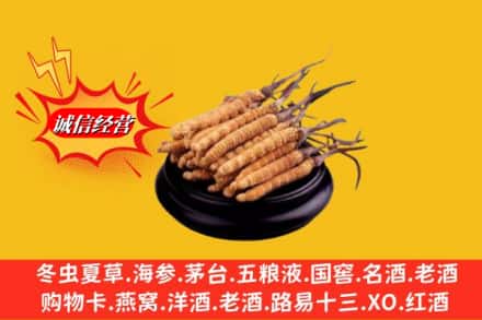 阜新市求购回收虫草多少钱每克